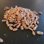 Gluten free spelt