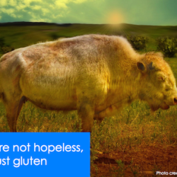 You're not hopeless, it's just gluten